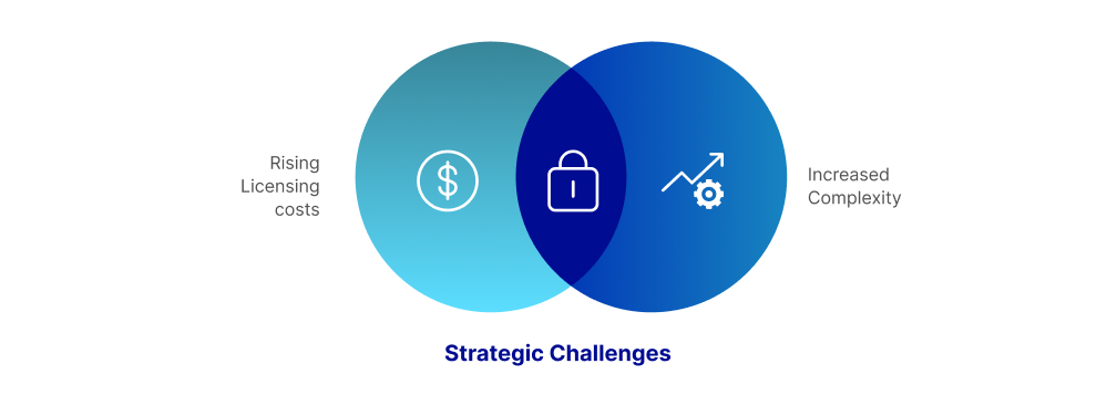 Overlapping challenges of rising costs and complexity in VMware environments highlight the need for streamlined, budget-friendly solutions.